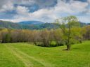 Lot 9 Thistle Lane sold home in Fletcher, SC