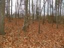 4221 Pinto Lane sold home in Gastonia, SC