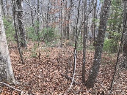 22 Silent Forest Drive