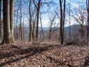 99999 Old Forest Drive 2 sold home in Asheville, SC