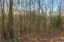64 Giffords Lane 11 sold home in Asheville, SC