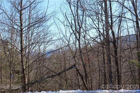 Lot 48 S Feather Falls Trail