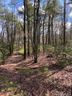 Lot 163a Eagle Lake Drive 163A sold home in Brevard, SC