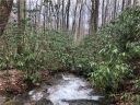 606 Timberline Drive 5/6 sold home in Maggie Valley, SC