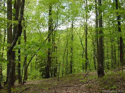 Lot 485 Pear Tree Drive