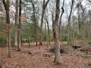 10 Manakiki Court sold home in Etowah, SC