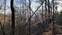 106 Bamboo Trail 11 sold home in Candler, SC