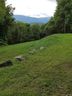 Lot 34 Rimesdale Way sold home in Waynesville, SC