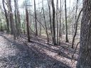 46 Piney Gate Road sold home in Saluda, SC