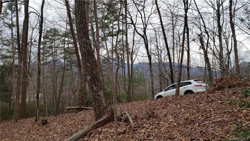 0 Pier Point Drive Lot 25 sold home in Pierpoint, Lake Lure, NC