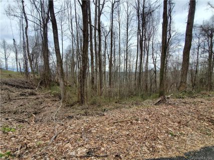 00 Sky Ridge Lane sold home in Sky Lake Estates, Hendersonville, NC
