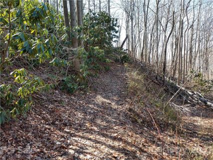 00 Bee Tree Road 103B sold home in Smoky Mountain Estates, Swannanoa, NC
