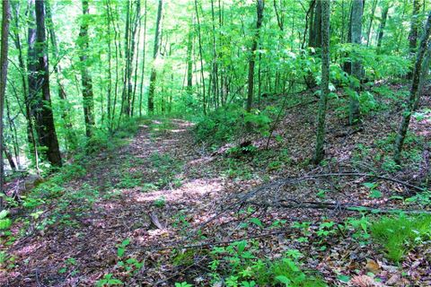 00 Summit Ridge Drive sold home in Walnut Creek Ridge, Waynesville, NC