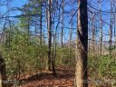Tbd Fox Lane 15 sold home in Brevard, SC