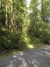 0000 Spring Road sold home in Hendersonville, SC