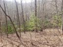 Lot 37 Rainbow Trout Drive sold home in Tuckasegee, SC