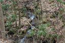 Lot 14 Teaberry Ridge Road sold home in Waynesville, SC