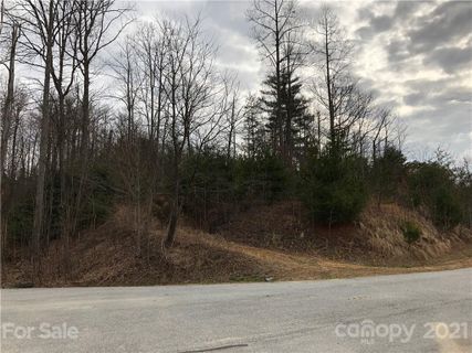 120 Mountain Elder Lane 80