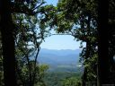 201 Briarcliff None 6 sold home in Asheville, SC