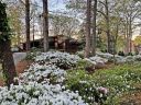 8443 Luckey Point Road sold home in Denver, SC