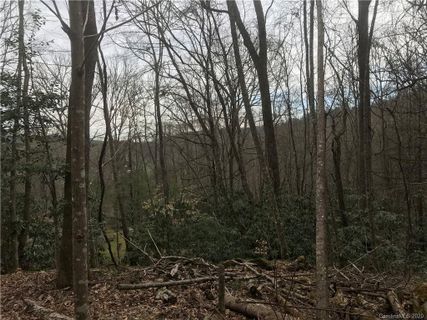 Lot 7 Pisgah Forest Drive