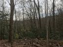Lot 7 Pisgah Forest Drive sold home in Pisgah Forest, SC