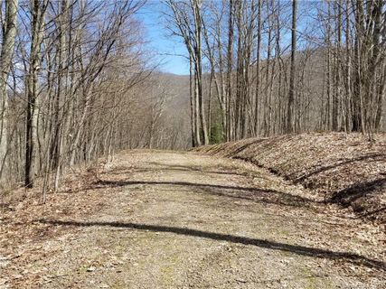 7 Black Bear Lane sold home in The Ridge Tops of Hawks Nest, Burnsville, NC