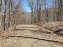 7 Black Bear Lane sold home in Burnsville, SC