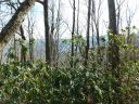 Lot 30 Summit Ridge Drive sold home in Waynesville, SC