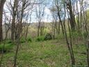 Lot 31 Triple Creek Drive sold home in Clyde, SC