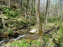 000 Ogles Gap Road sold home in Burnsville, SC