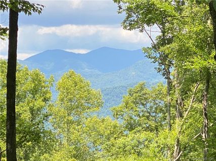 1251 Arborcrest Way 41