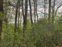 999 Stillhouse Road sold home in Brevard, SC