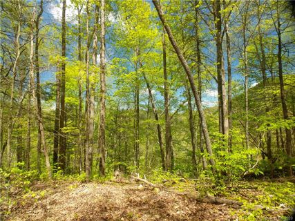 Lot 91 Bear River Lodge Trail