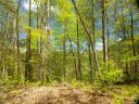 Lot 91 Bear River Lodge Trail sold home in Marshall, SC