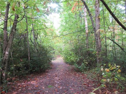 Off Ben Nevis Road 15&16 sold home in Highland Forest, Brevard, NC