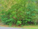 000 Deer Creek Drive 22A sold home in Waxhaw, SC
