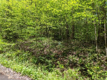 Lot 16 Bear River Lodge Trail
