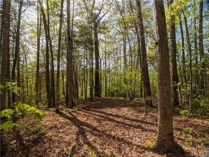 1156 Bear River Lodge Trail 61
