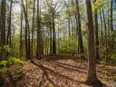 1156 Bear River Lodge Trail 61 sold home in Marshall, SC