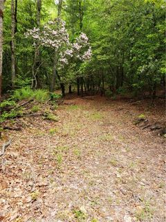 Lot 10a Dogwood Court 10A