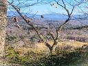862 Mills River Way 40R sold home in Horse Shoe, SC