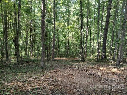 39 Baxter Woods Lane 8 sold home in Baxter Woods, Candler, NC