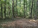 39 Baxter Woods Lane 8 sold home in Candler, SC