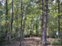 43 Baxter Woods Lane 9 sold home in Candler, SC