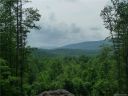 1621 Pisgah Preserve Drive 37 sold home in Nebo, SC