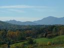 33 Al Dorf Drive 112 sold home in Weaverville, SC