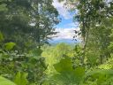 Lot 7 Corsica Lane sold home in Saluda, SC