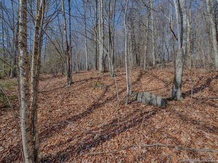 00 Eagles Nest Road Lots 1 & 2