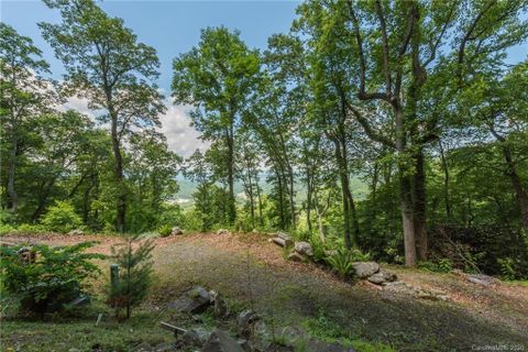 104 Castanea Mountain Drive